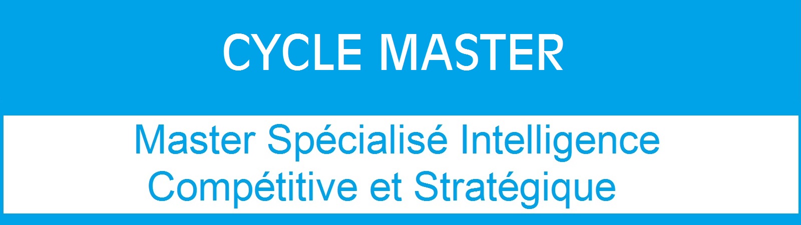 Avis de concours d’accès aux Masters Spécialisés (2022-2023) – Intelligence compétitive et stratégique